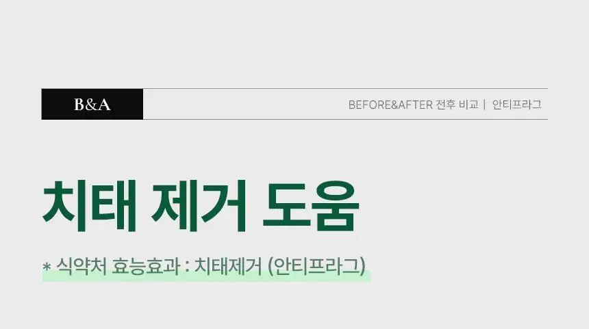 [특허성분 함유] 프로벨 메디테라 잇몸치약 (인체적용시험완료) 120g (1입/3입) 상세페이지 12